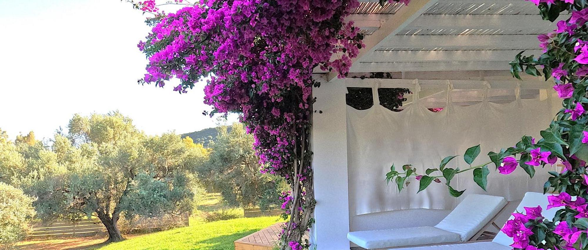 Olivemare Hotel Katelios Exterior photo