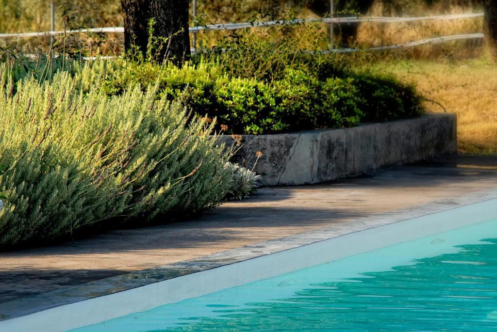 Olivemare Hotel Katelios Exterior photo